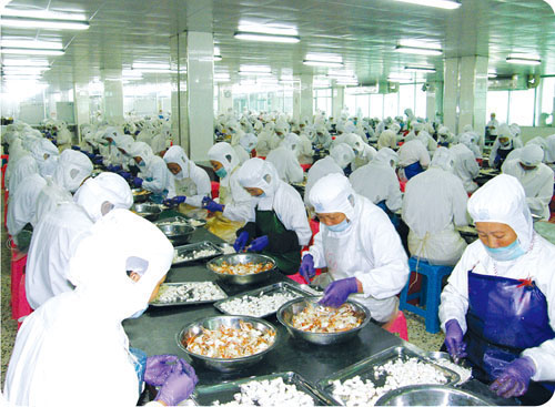 B Production Process