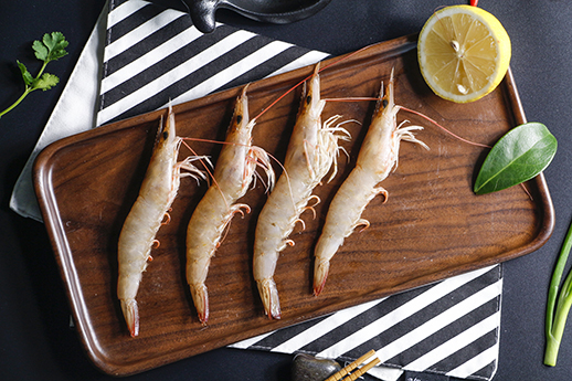 Sea Shrimp