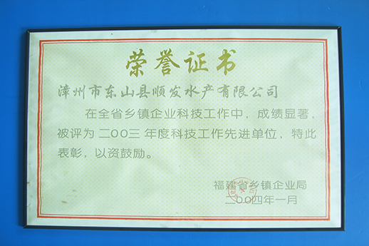 榮譽(yù)證書6