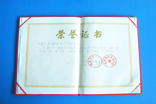 榮譽(yù)證書7