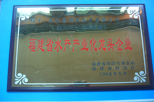 榮譽(yù)證書9