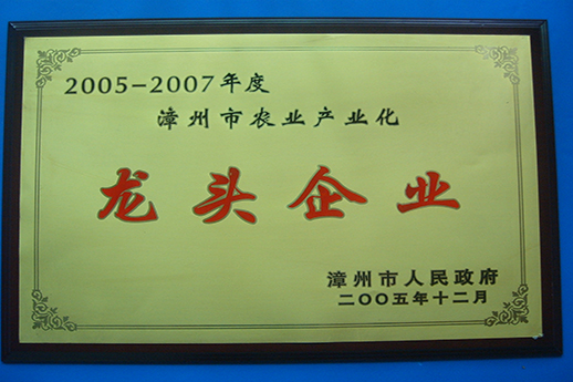 榮譽(yù)證書10