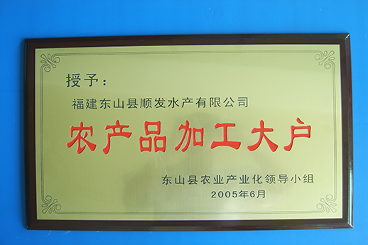 榮譽(yù)證書13