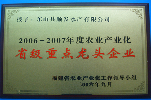 榮譽(yù)證書15