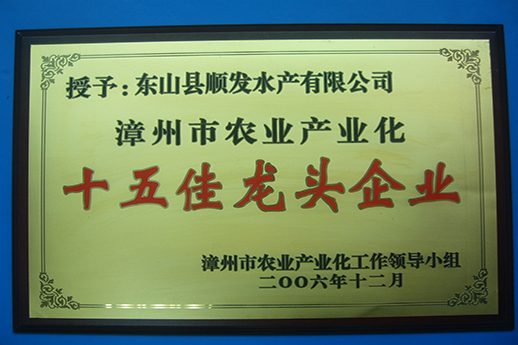 榮譽證書18