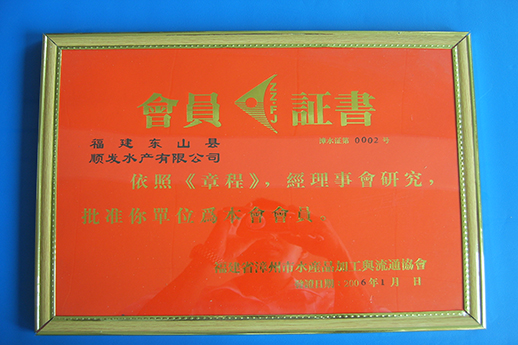 榮譽證書19