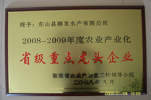 榮譽證書26