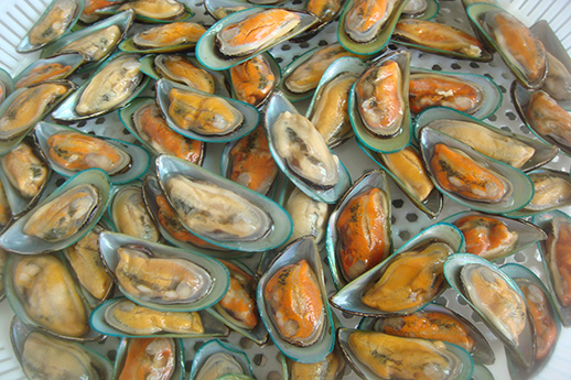 Mussel