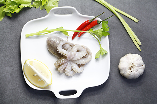Octopus